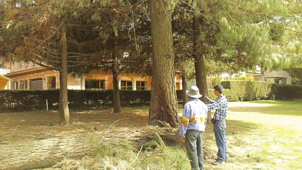 Equipo DIFISA